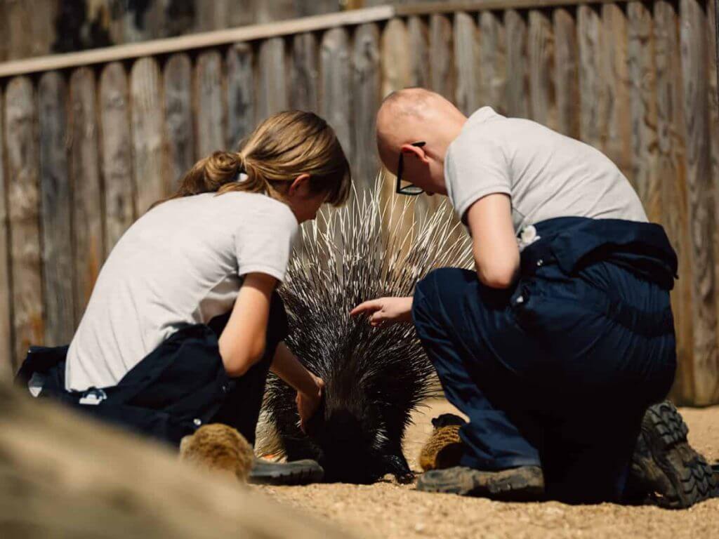 Animal Care