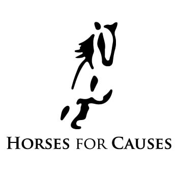 Horses for causes news image